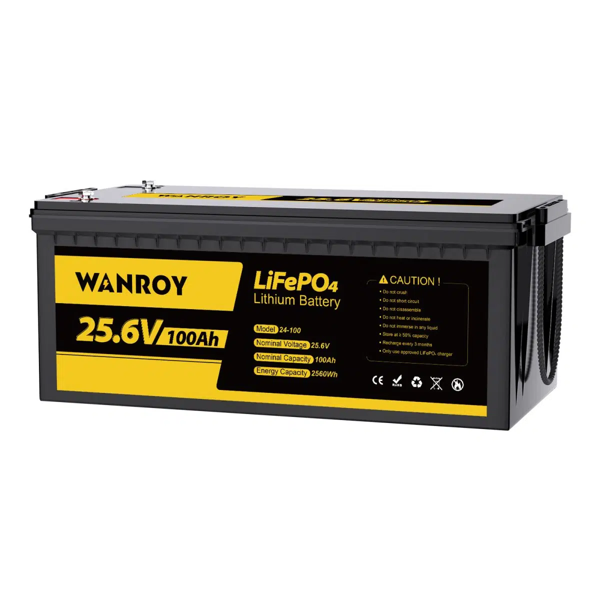 Batterie LiFePO4 24V 100Ah con 100A BMS丨WANROY